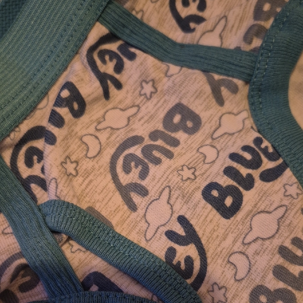 BrandNew BLUEY Underwear Set 5Pairs Boys - Picture 3 of 5